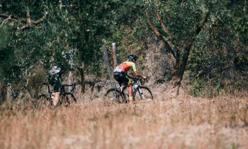 Alé BTC Ljubljana non correrà il Giro delle Fiandre femminile